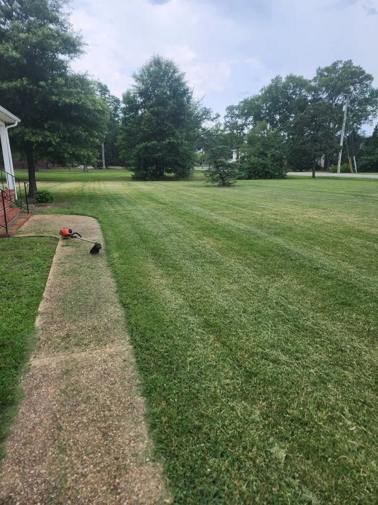 Reliable yard cleanup service in Richmond, VA - Zomow's Lawncare