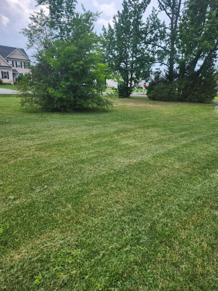 Local landscape design in Richmond, VA - Zomow's Lawncare