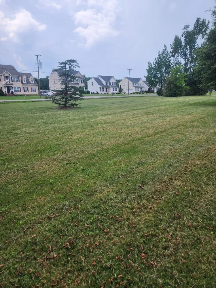 Affordable landscape installation for outdoor upgrades across Richmond, VA - Zomow's Lawncare