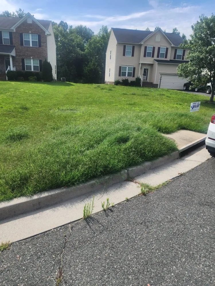 Professional outdoor landscaping experts serving Richmond, VA - Zomow's Lawncare