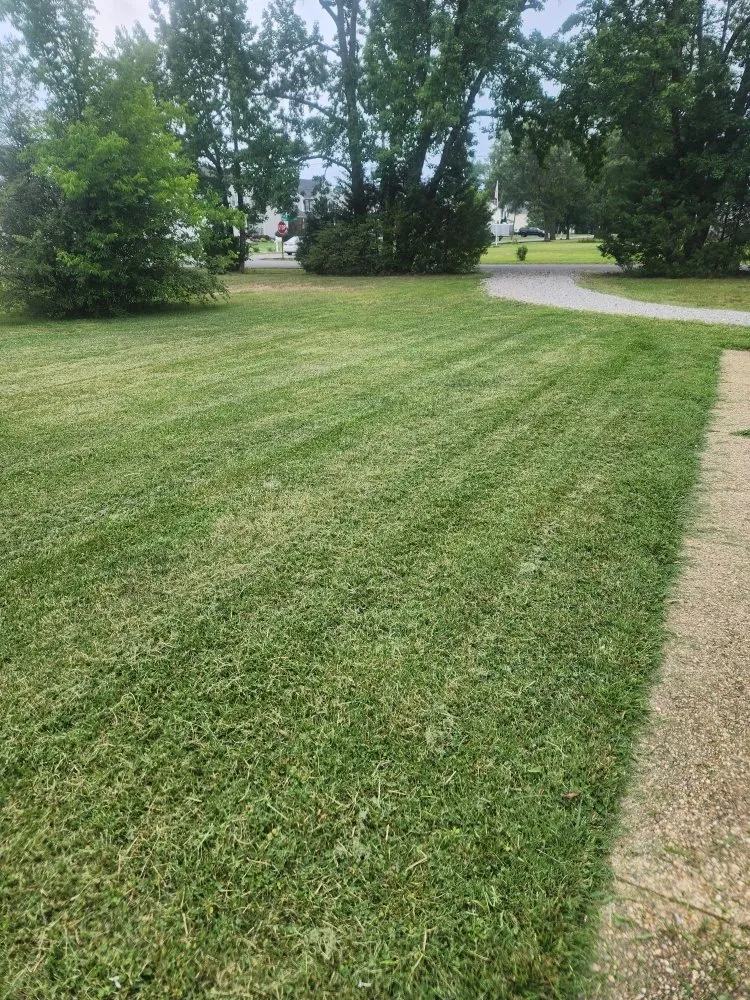 Local yard cleanup service experts serving Richmond, VA - Zomow's Lawncare