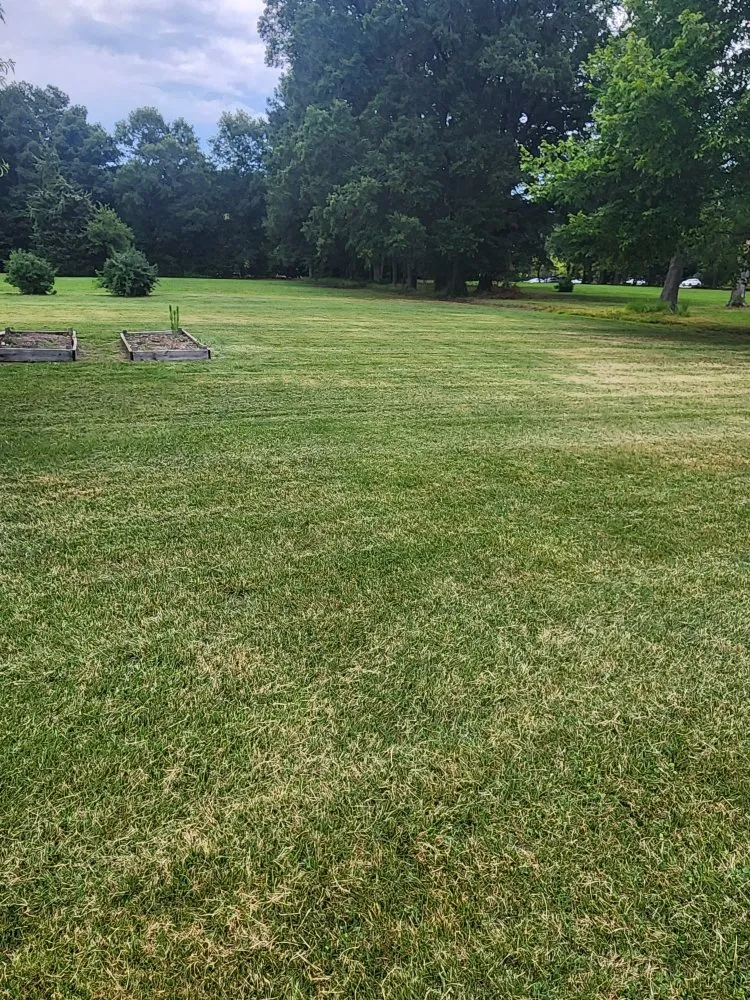 Expert yard cleanup service for outdoor upgrades across Richmond, VA - Zomow's Lawncare