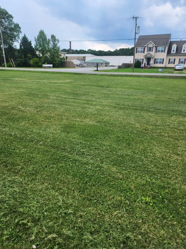 Reliable lawn mowing service experts serving Richmond, VA - Zomow's Lawncare