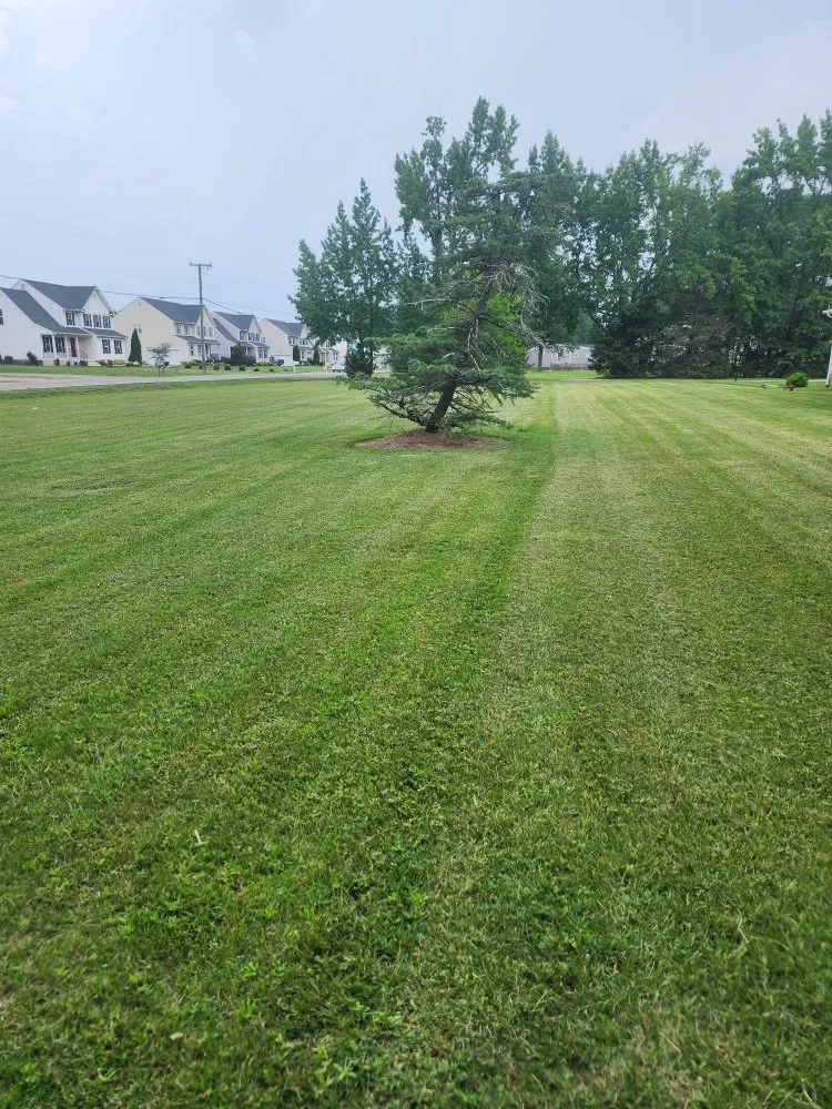 Trusted lawn care service for beautiful yards in Richmond, VA by Zomow's Lawncare