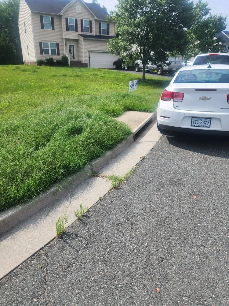 Custom yard cleanup service for homes across Richmond, VA - Zomow's Lawncare