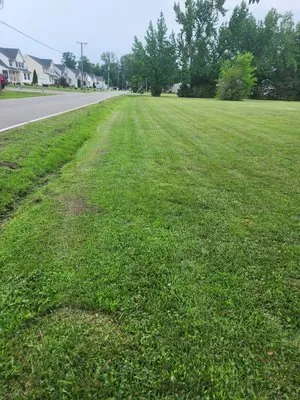 Zomow's Lawncare Logo