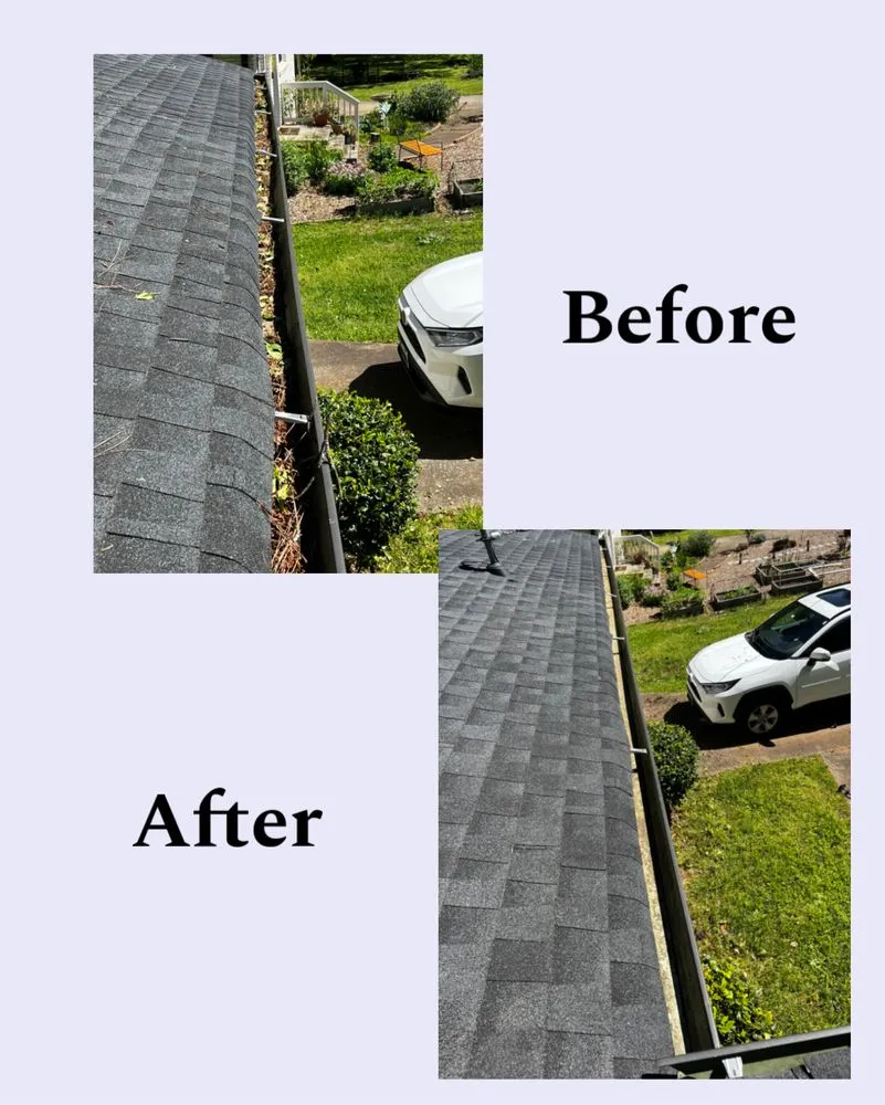 Top-rated residential landscaping experts serving East Point, GA - Zona Landscaping