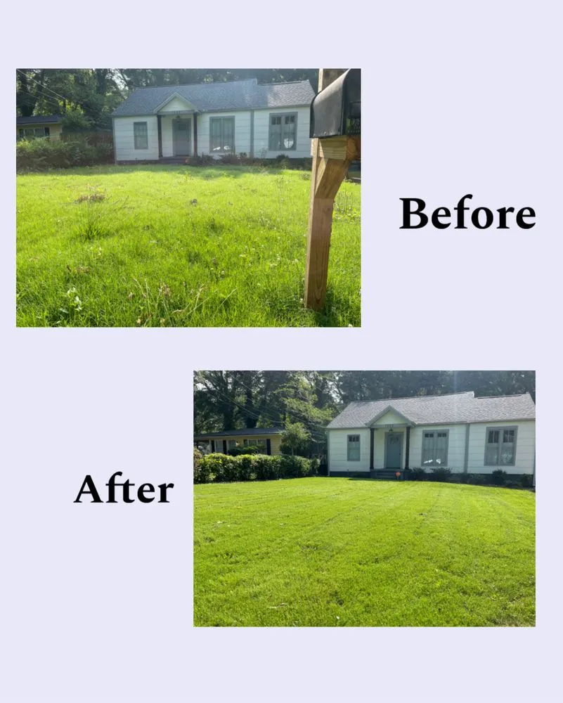 Affordable landscape installation for outdoor upgrades across East Point, GA - Zona Landscaping