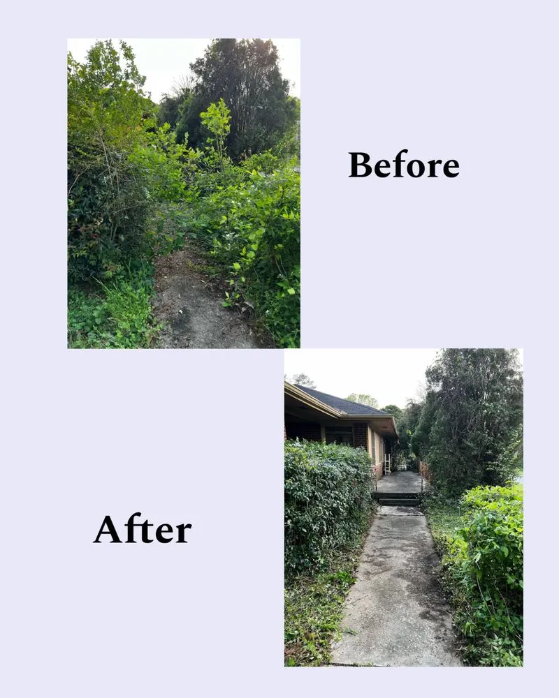 Affordable yard cleanup service for outdoor upgrades across East Point, GA - Zona Landscaping