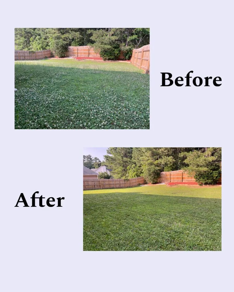 Affordable landscape installation in East Point, GA - Zona Landscaping