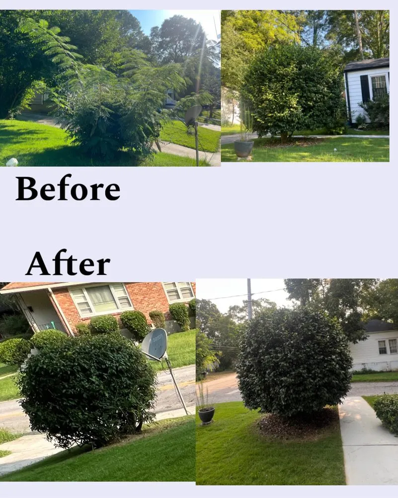 Local landscape installation for beautiful yards in East Point, GA by Zona Landscaping