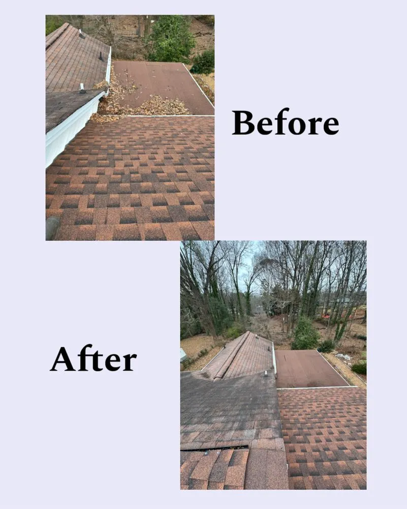 Local residential landscaping for outdoor upgrades in East Point, GA by Zona Landscaping