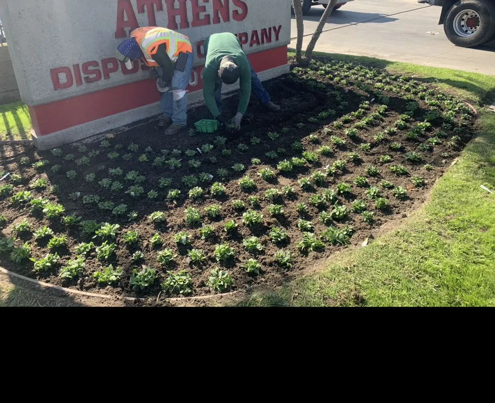 Expert outdoor landscaping in West Covina, CA by Zona Verde