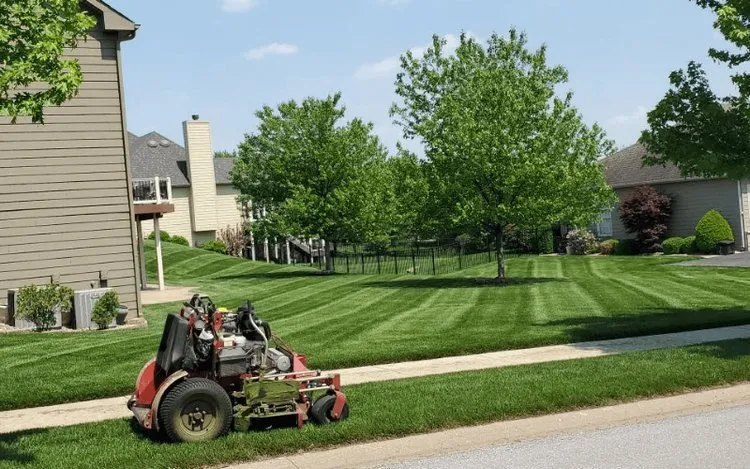 Affordable yard maintenance in Lynnwood, WA by Zone 8 Construction & Landscaping