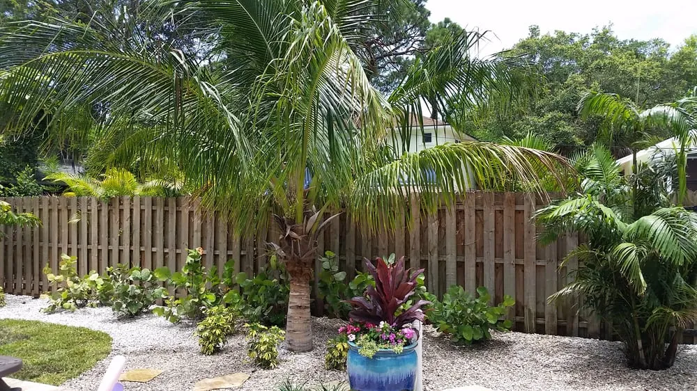 Custom landscape installation experts serving Belleair Bluffs, FL - Zone 9 Creations