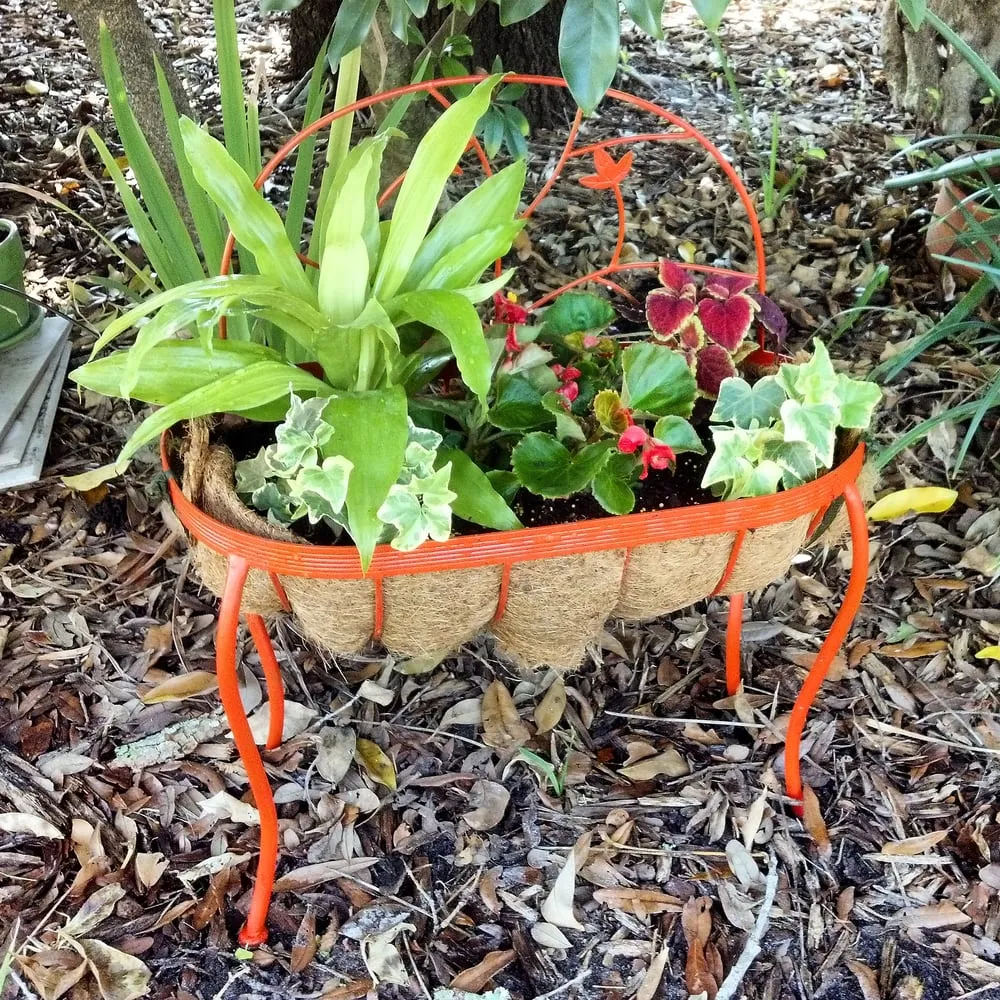 Custom garden landscaping in Belleair Bluffs, FL by Zone 9 Creations