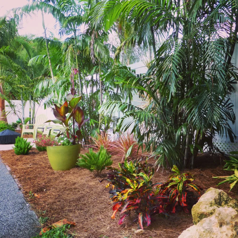 Local lawn mowing service experts serving Belleair Bluffs, FL - Zone 9 Creations