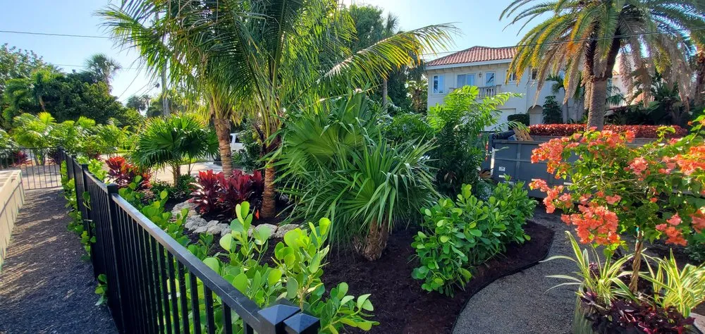 Trusted yard cleanup service in Belleair Bluffs, FL by Zone 9 Creations