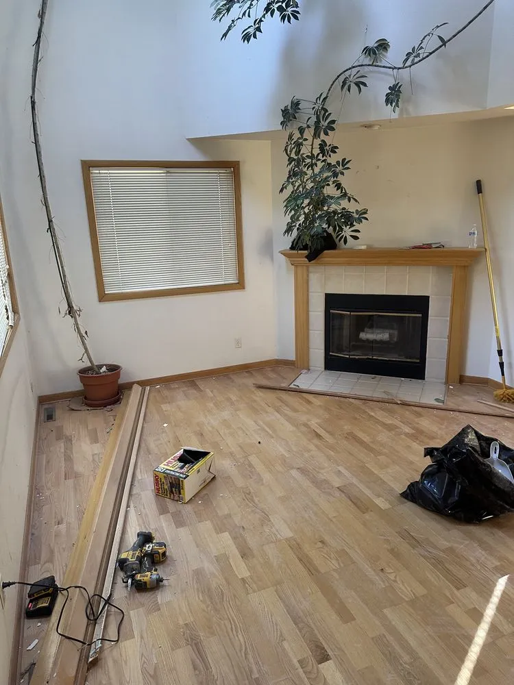 Reliable yard cleanup service experts serving Denver, CO - Zone Express