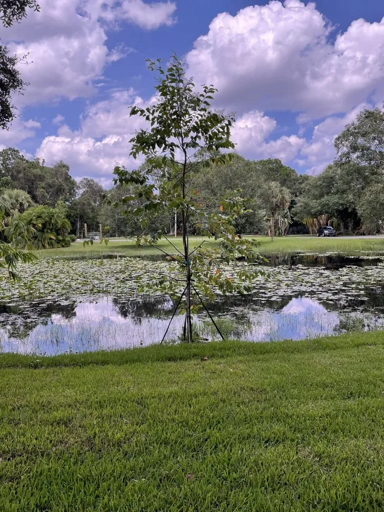 Professional landscape installation for outdoor upgrades in Stuart, FL by Zone lawn services
