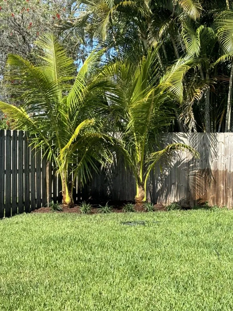 Trusted residential landscaping for residential properties across Stuart, FL - Zone lawn services