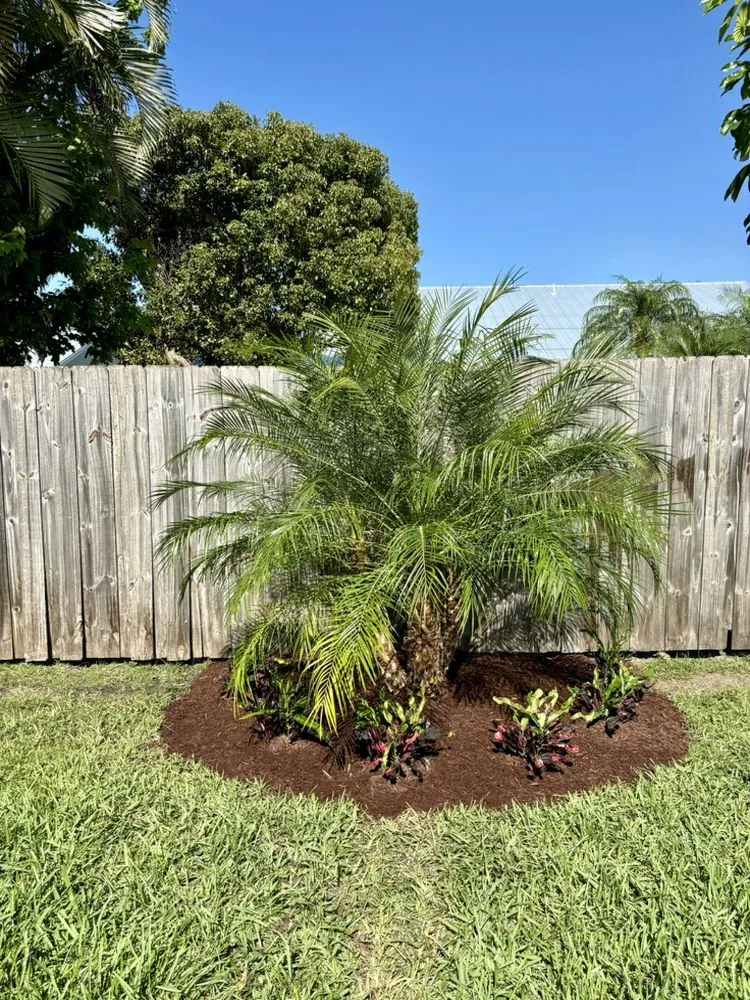Trusted residential landscaping experts serving Stuart, FL - Zone lawn services
