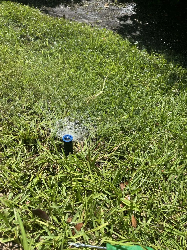 Affordable outdoor landscaping in North Myrtle beach, SC by Zone Masters Irrigation