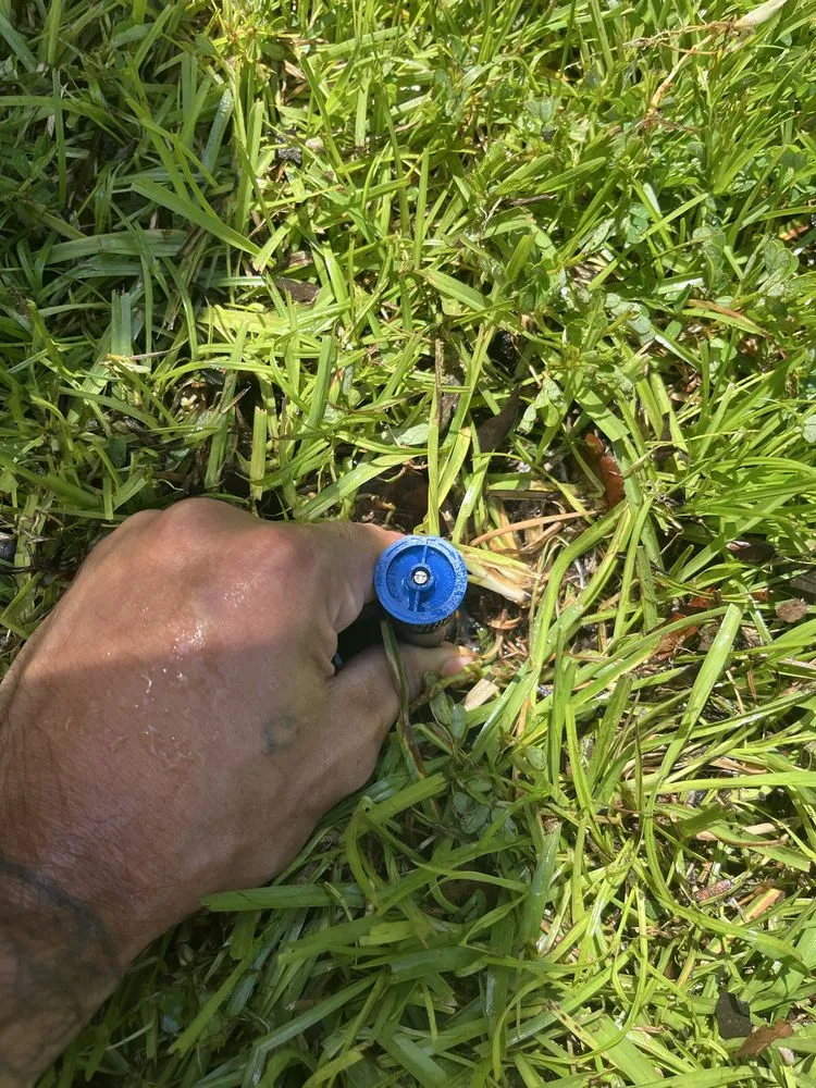 Reliable yard cleanup service in North Myrtle beach, SC by Zone Masters Irrigation