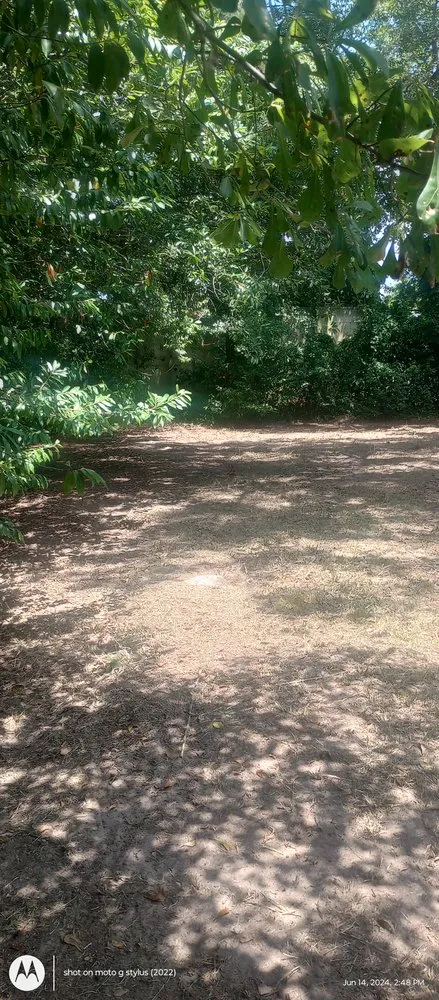 Local lawn care service for homes in Hopkins, SC by Zonell's Lawncare