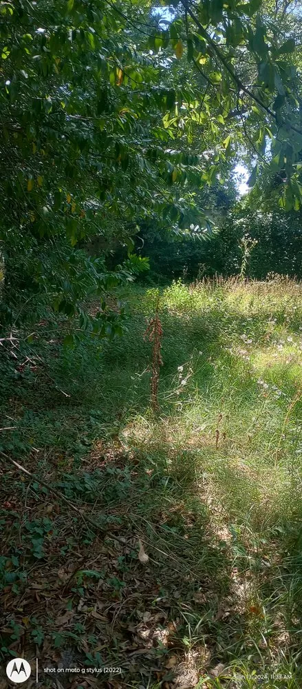 Reliable landscaping services with custom design across Hopkins, SC - Zonell's Lawncare