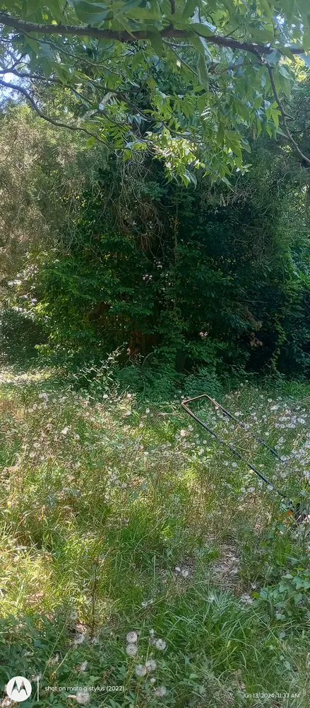 Professional garden landscaping experts serving Hopkins, SC - Zonell's Lawncare