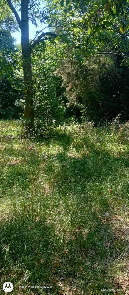 Affordable yard cleanup service for year-round maintenance in Hopkins, SC by Zonell's Lawncare