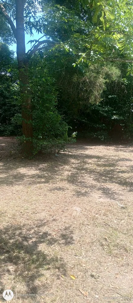 Local outdoor landscaping for outdoor upgrades across Hopkins, SC - Zonell's Lawncare