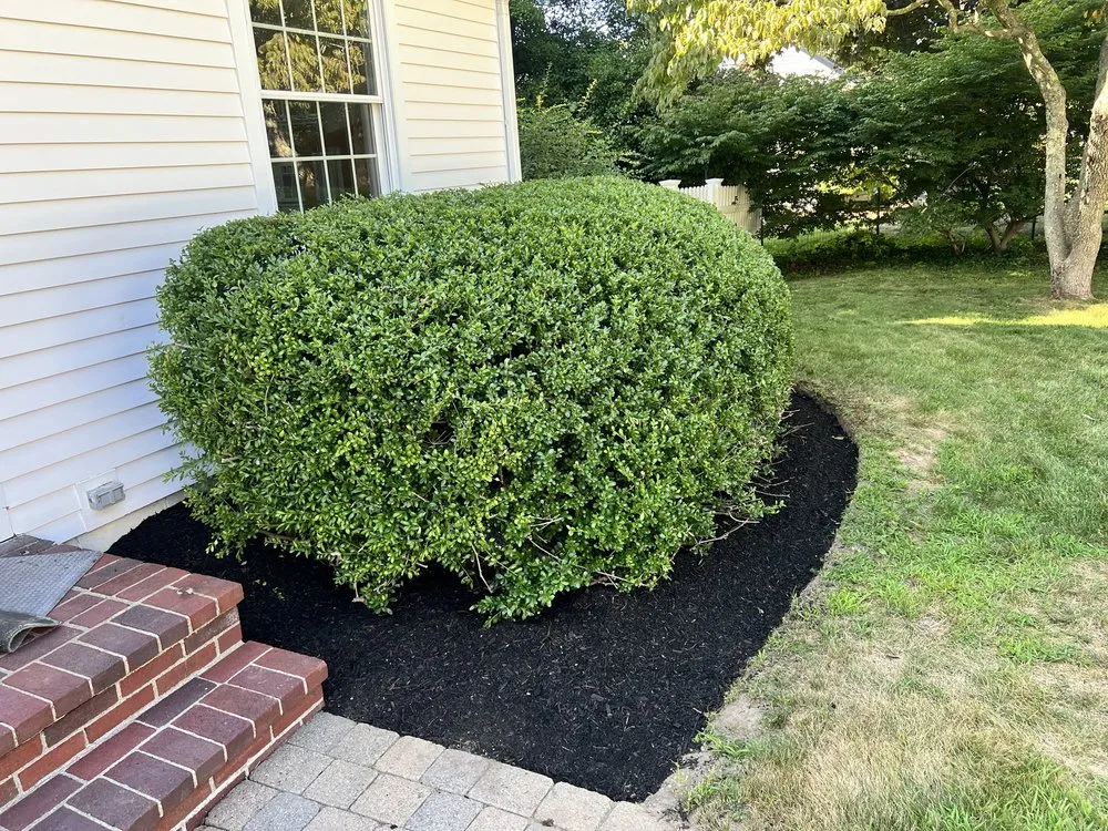 Affordable yard maintenance in Plymouth, MA by Zonta Landscaping
