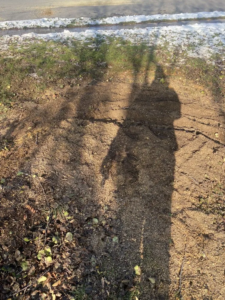 Professional yard cleanup service near you in Midvale, UT by Zoom