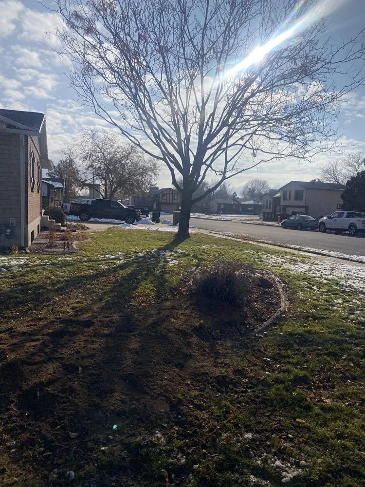 Affordable landscape installation in Midvale, UT - Zoom