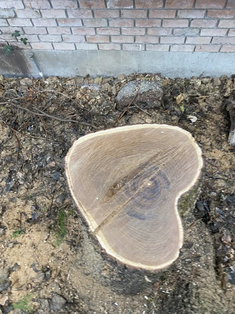 Reliable landscaping services for outdoor upgrades across Midvale, UT - Zoom