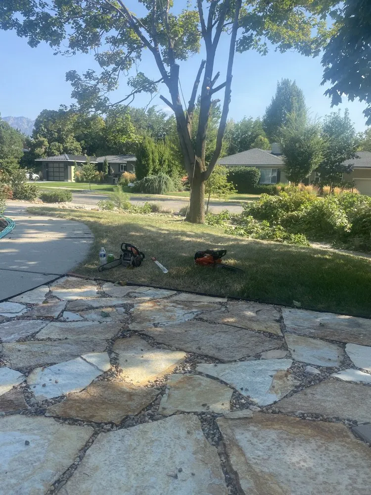 Top-rated outdoor landscaping in Midvale, UT - Zoom