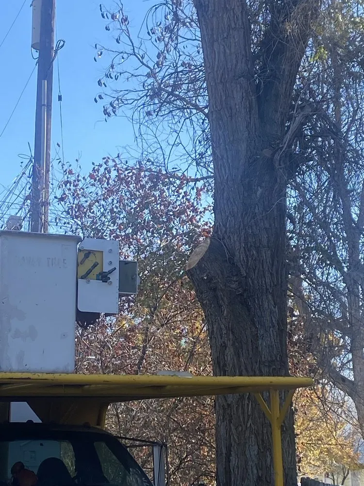 Affordable residential landscaping for residential properties across Midvale, UT - Zoom