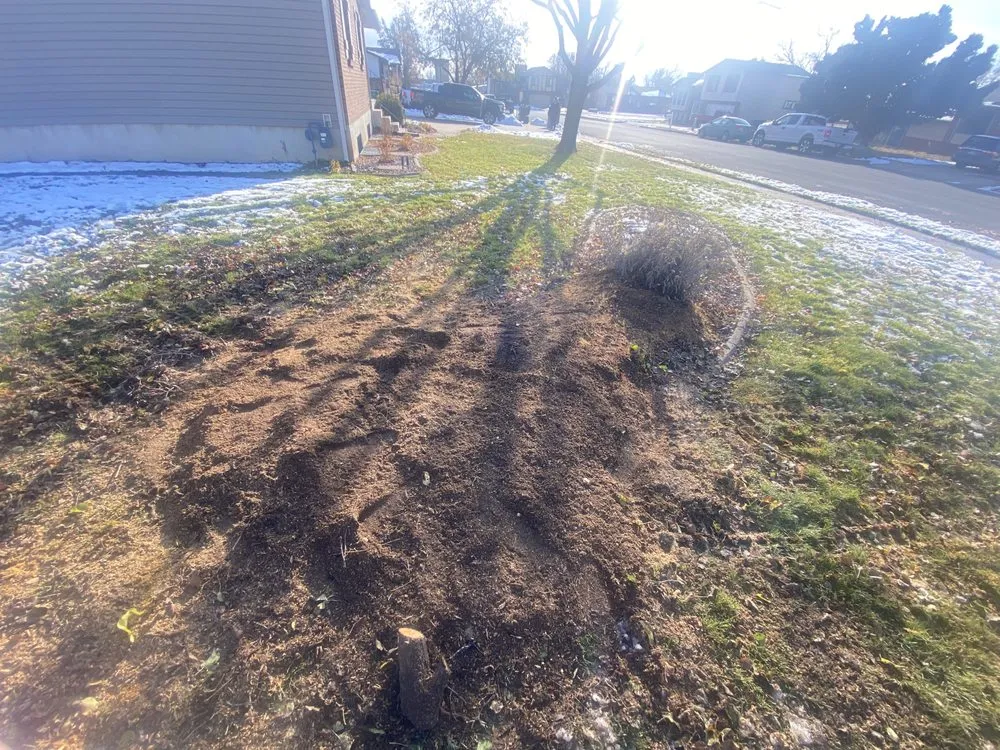 Trusted lawn mowing service with custom design in Midvale, UT by Zoom