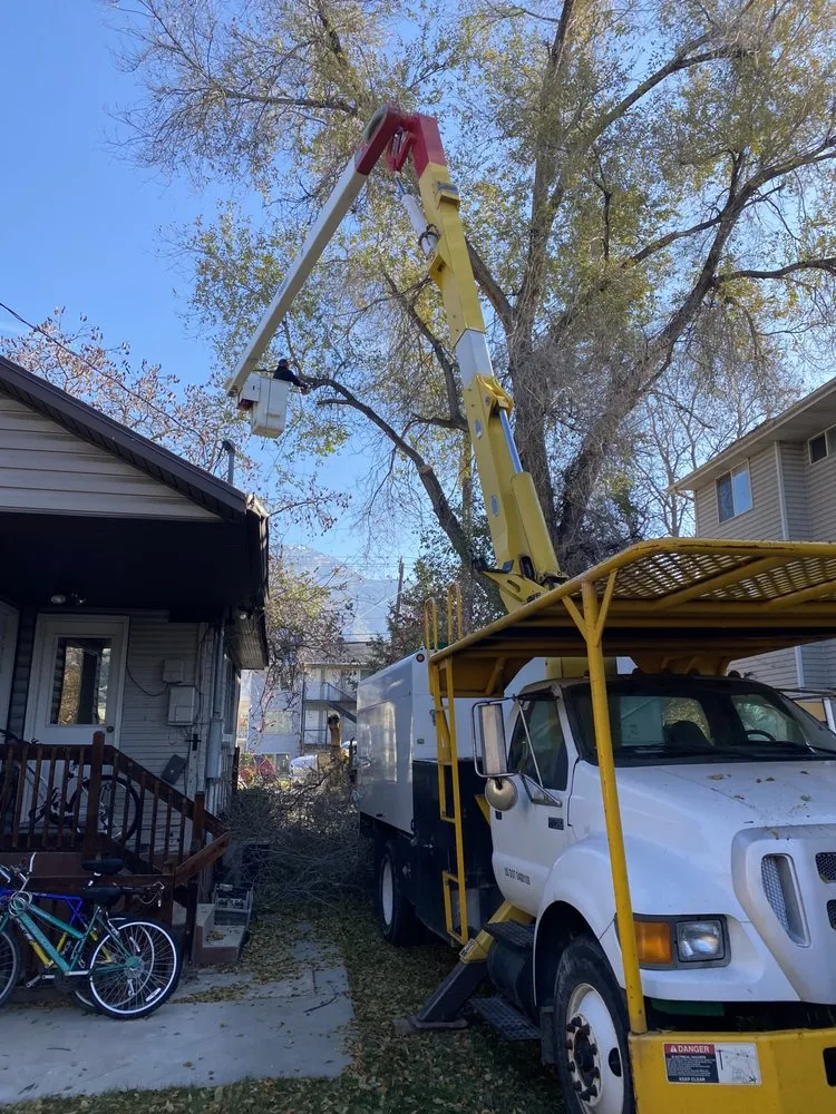 Affordable outdoor landscaping in Midvale, UT - Zoom