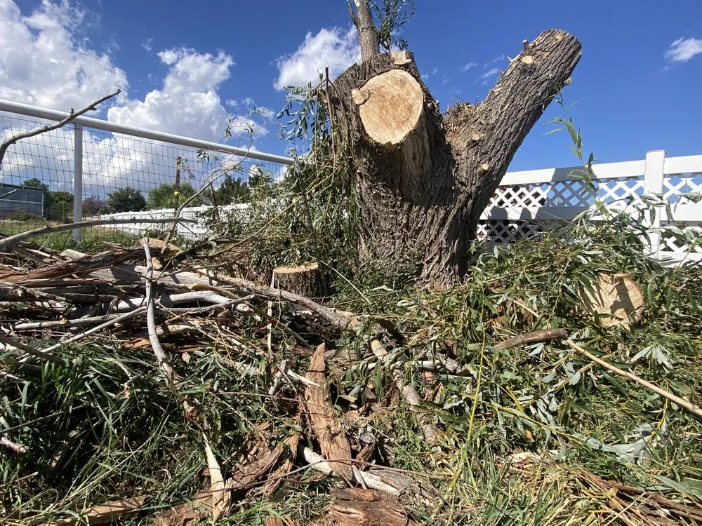 Expert lawn mowing service for beautiful yards across Midvale, UT - Zoom