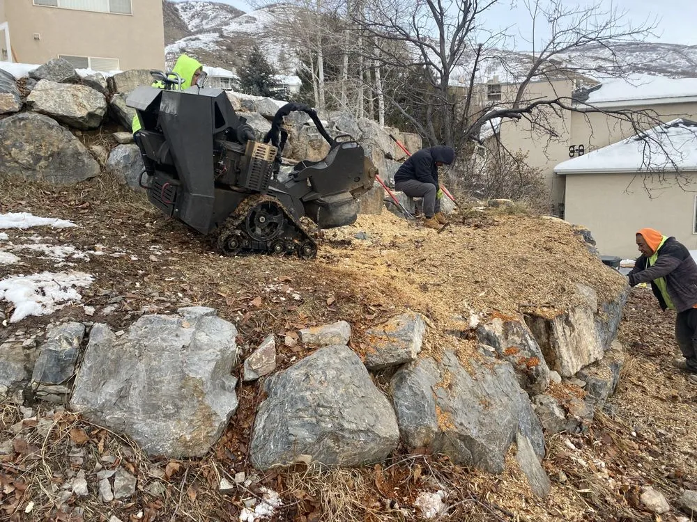 Affordable landscape installation experts serving Salt Lake City, UT - Zoom Tree Experts & Landscaping