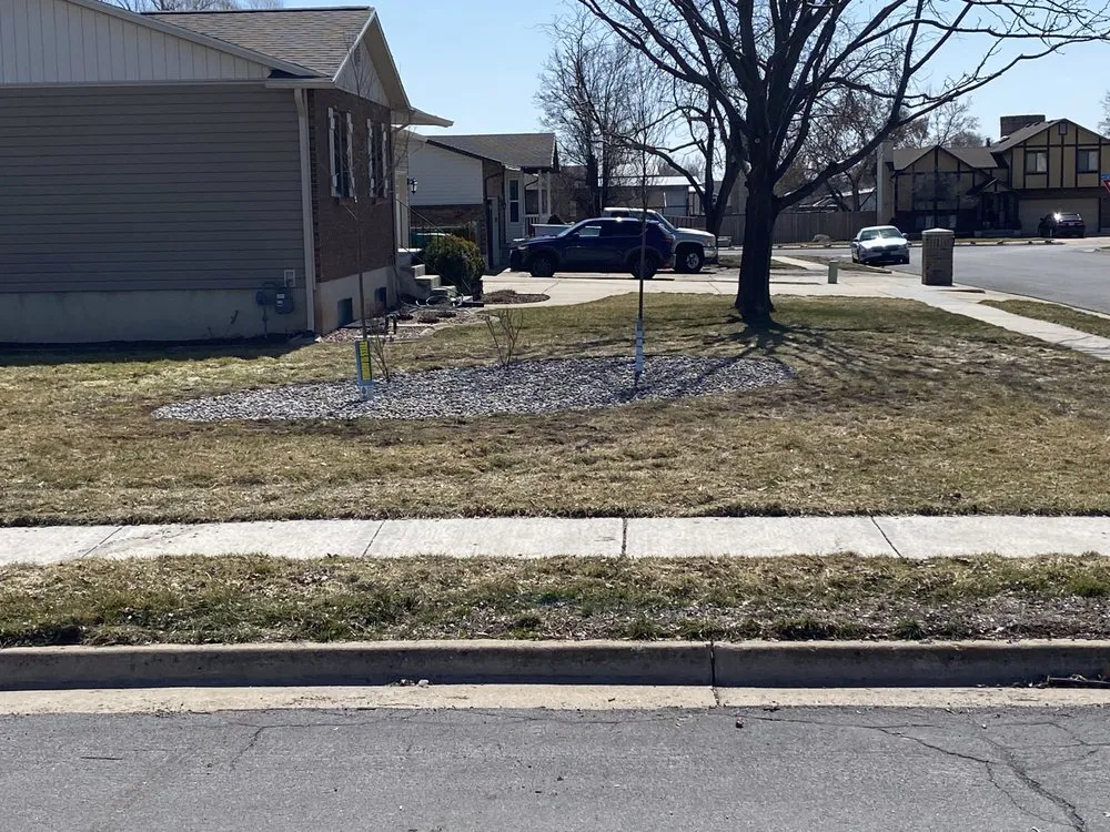 Professional yard cleanup service for homes across Salt Lake City, UT - Zoom Tree Experts & Landscaping