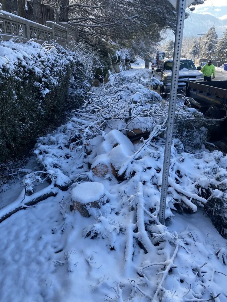 Custom yard maintenance in Salt Lake City, UT by Zoom Tree Experts & Landscaping