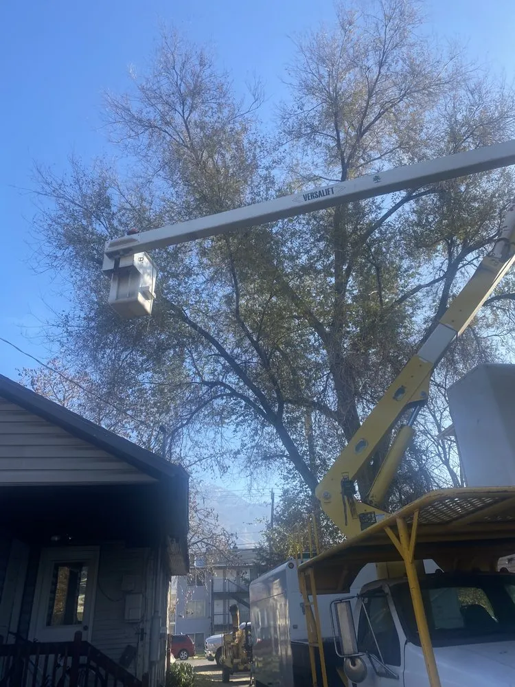 Affordable garden landscaping for outdoor upgrades across Salt Lake City, UT - Zoom Tree Experts & Landscaping