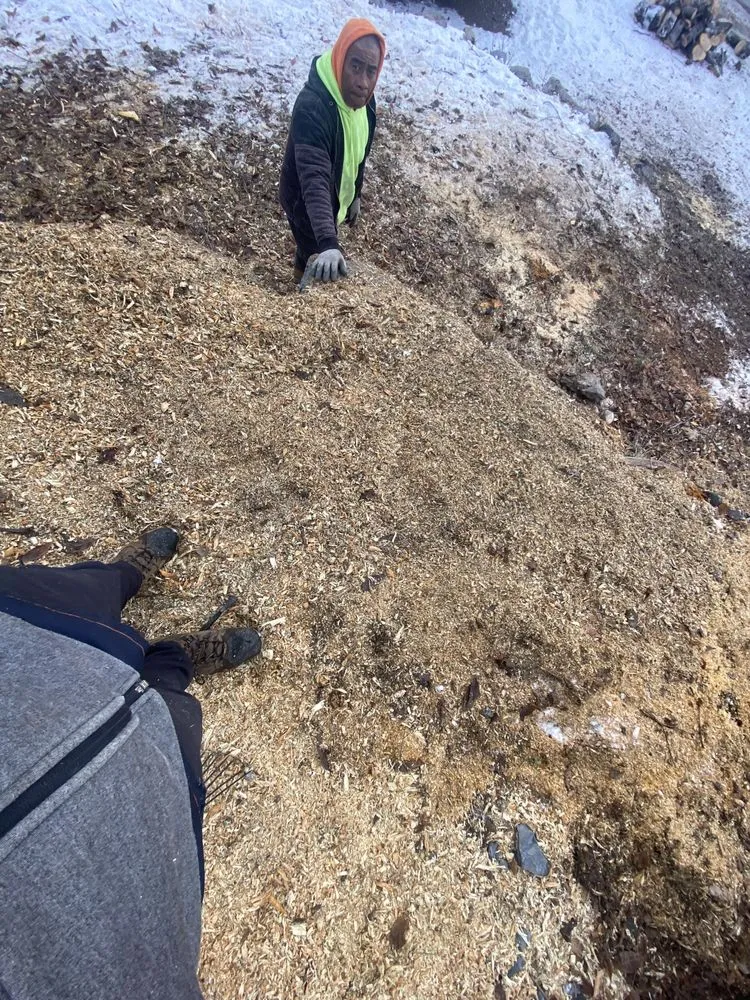 Top-rated landscape design with custom design in Salt Lake City, UT by Zoom Tree Experts & Landscaping