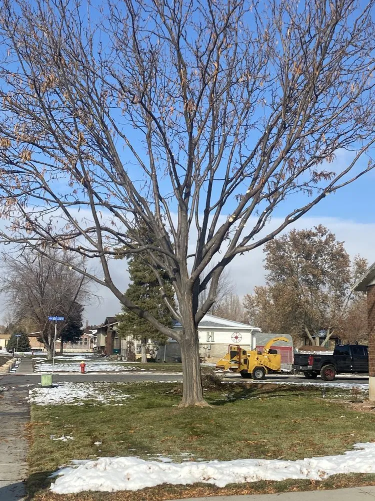 Professional landscape design in Salt Lake City, UT by Zoom Tree Experts & Landscaping