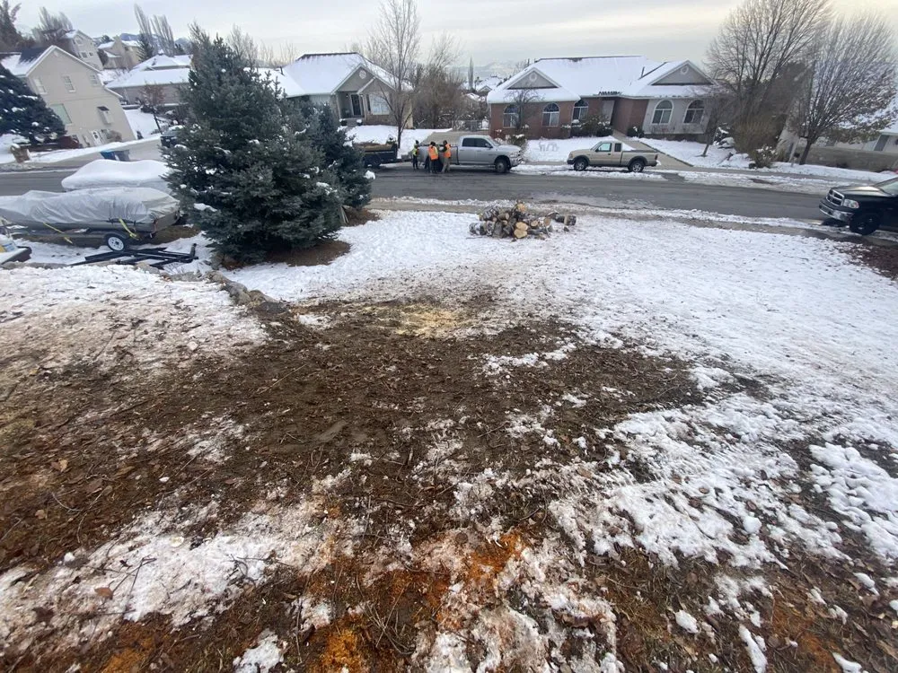 Custom residential landscaping in Salt Lake City, UT by Zoom Tree Experts & Landscaping