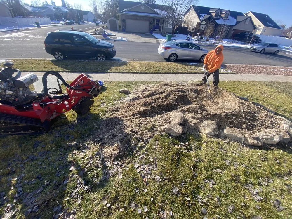 Local yard maintenance for homes in Salt Lake City, UT by Zoom Tree Experts & Landscaping